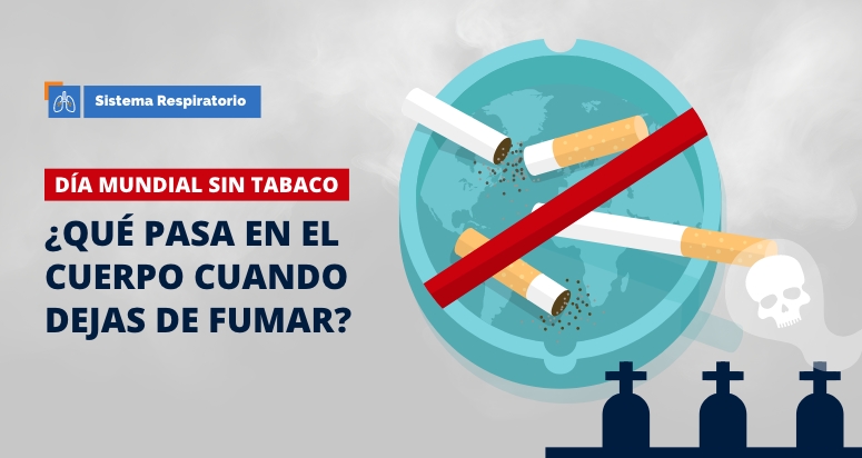 dia mundial sin tabaco que pasa en el cuerpo cuando dejas de fumar
