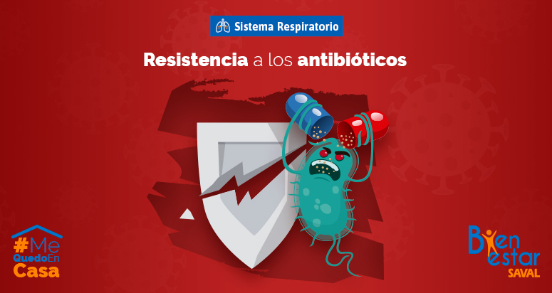 resistencia antibioticos qa