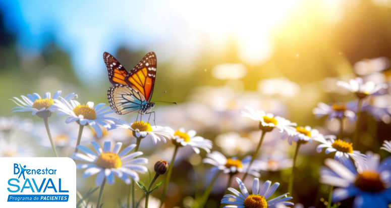 primavera salud ocular gotas para los ojos